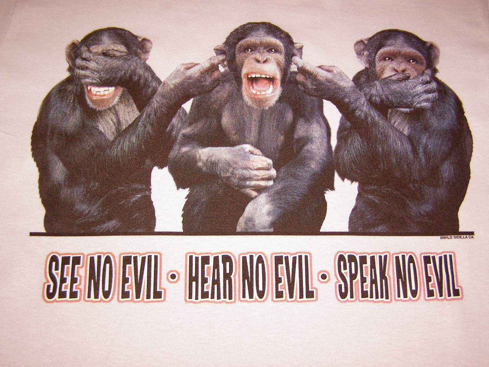 Не вижу ответа не слышу ответа. Обезьяны не слышу не вижу. Три обезьяны. Картина три обезьяны. Три обезьяны не вижу не слышу не скажу.